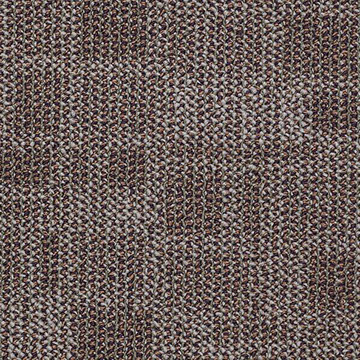 Area Color 00502