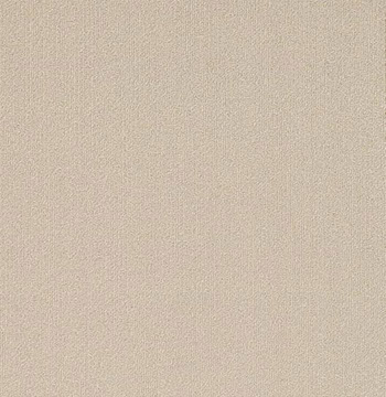 Colour Plank Color: 95114