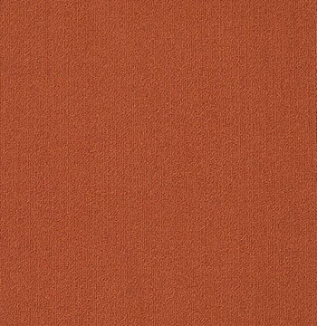 Colour Plank Color: 95668