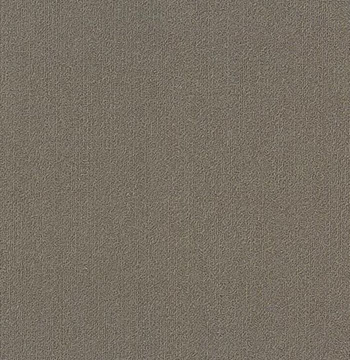 Colour Plank Color: 95761